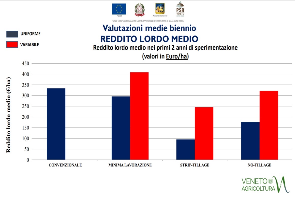 Comparazione delle rese ottenute nell'Azienda Vallevecchia con agricoltura convenzionale e agricoltura di precisione variabile